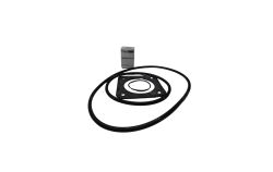 Kit joints + garniture mécanique pour pompe Starite 5P2R