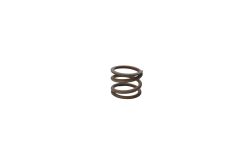 Ressort de vanne pour filtre TRITON et TAGELUS
