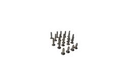 Lot de 22 vis ( long 22 mm et 15 mm ) pour bride de skimmer Hayward