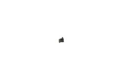 Vis de couvercle de skimmer (x2) Hayward SP 1082/84/85