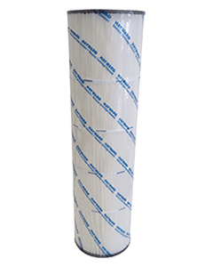 CARTOUCHE SWIMCLEAR C3030